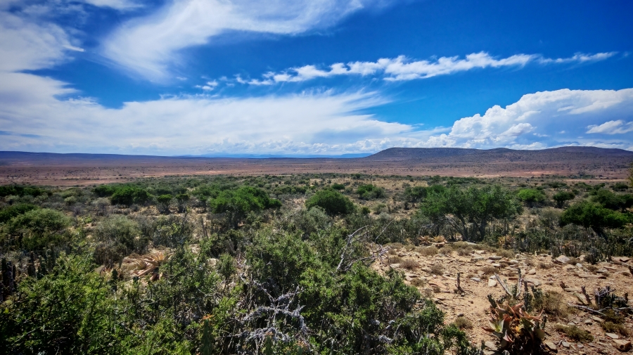 6 Bedroom Property for Sale in Pearston Eastern Cape